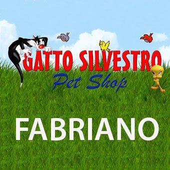 GATTO SILVESTRO FABRIANO