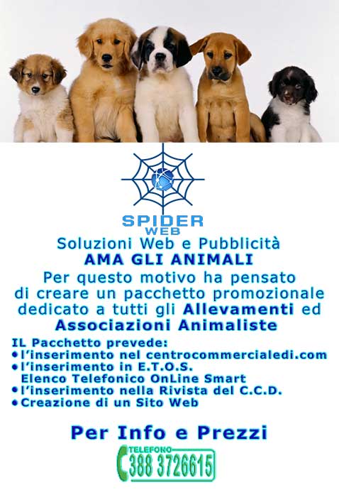 PROMO SPIDER WEB ALLEVATORI E ASSOCIAZIONI ANIMALISTE